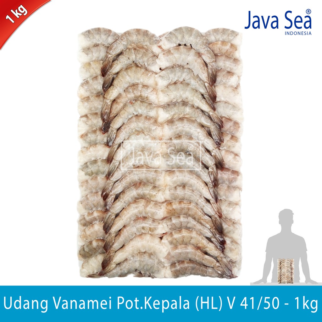 

Udang Vanamei Potong Kepala HL V 41/50 pack 1kg Java Sea