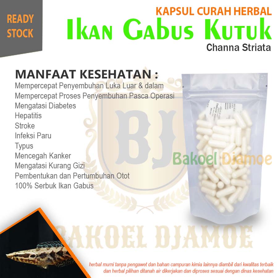 

Kapsul curah herbal ikan gabus kutuk kapsul herbal luka luar dan dalam