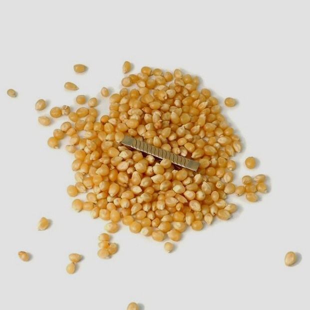 

Q121Sa Jagung Popcorn Mentah 1 Kg Anti Bantet D51qs44