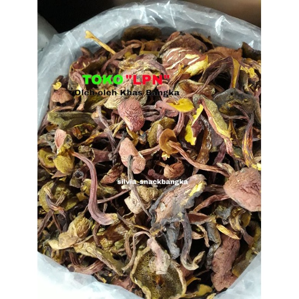 

Jamur Kulat Pelawan Asli Bangka (100gram)