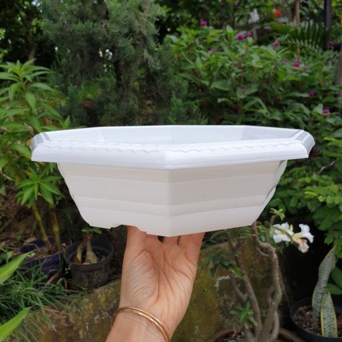 Jual Pot bunga plastik Bonsai SANTIGI 30 Pot bulat Pot ceper Pot murah ...