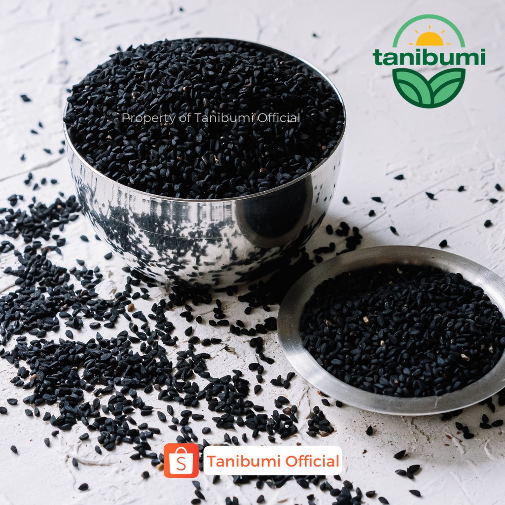 

JINTEN HITAM - JINTEN BUBUK - JINTEN HITAM BUBUK - JINTEN HITAM ORIGINAL ASLI - JINTEN HITAM CAIR - BIJI JINTEN HITAM - KAMIL JINTEN HITAM - JINTEN HITAM KAPSUL