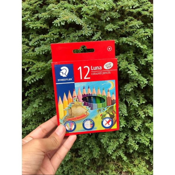 

PENSIL WARNA STAEDLER 12 SET