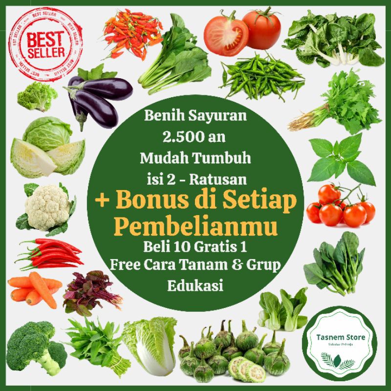 Benih Bibit Sayur Sayuran Daun Cabai Tomat Kangkung Seledri Sawi My