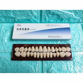 GIGI PALSU ANTERIOR POSTERIOR FULL SET