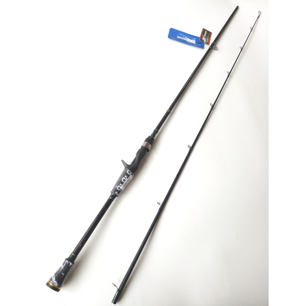 pioneer emotion power graphite rod