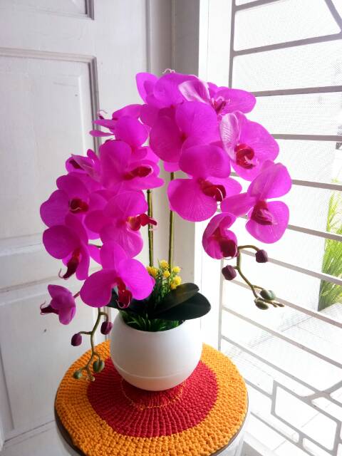 Anggrek latex jumbo bunga 9/anggrek Latex mewah/anggrek latex murah/sale anggrek latex 2 tangkai jum