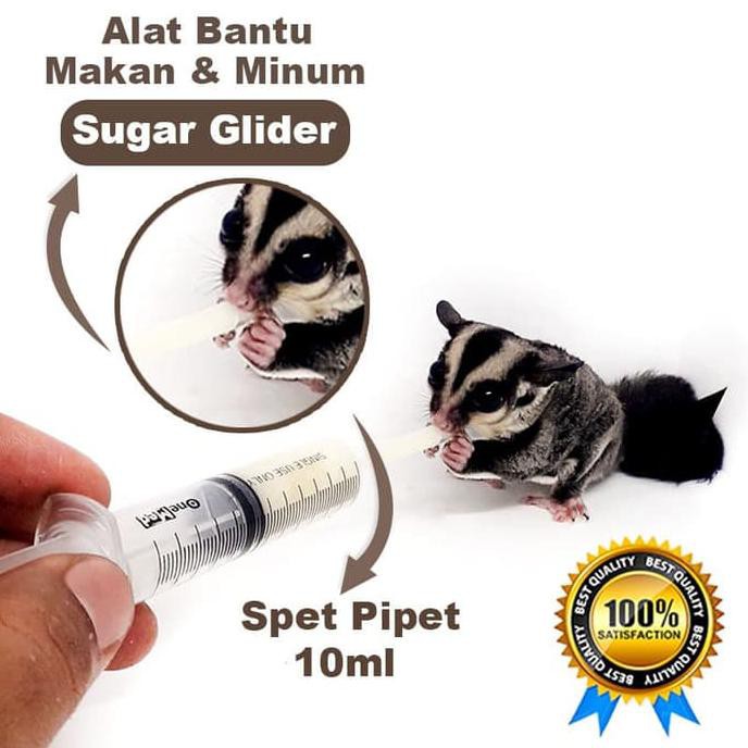 Spet Pipet 10ml Steril Alat Bantu Makan Minum Sugar Glider Joey Shopee Indonesia