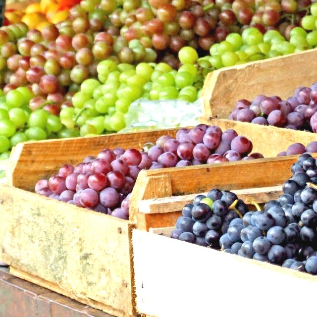 PAKET 7 BIBIT ANGGUR IMPORT