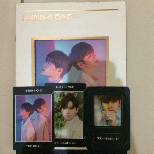 ALBUM THE HEAL ONGSET