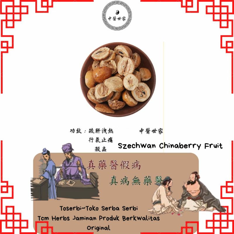 

100gr 川鍊子 Chuan Lian Zi Szechwan Chinaberry Fruit Fructus Toosendan