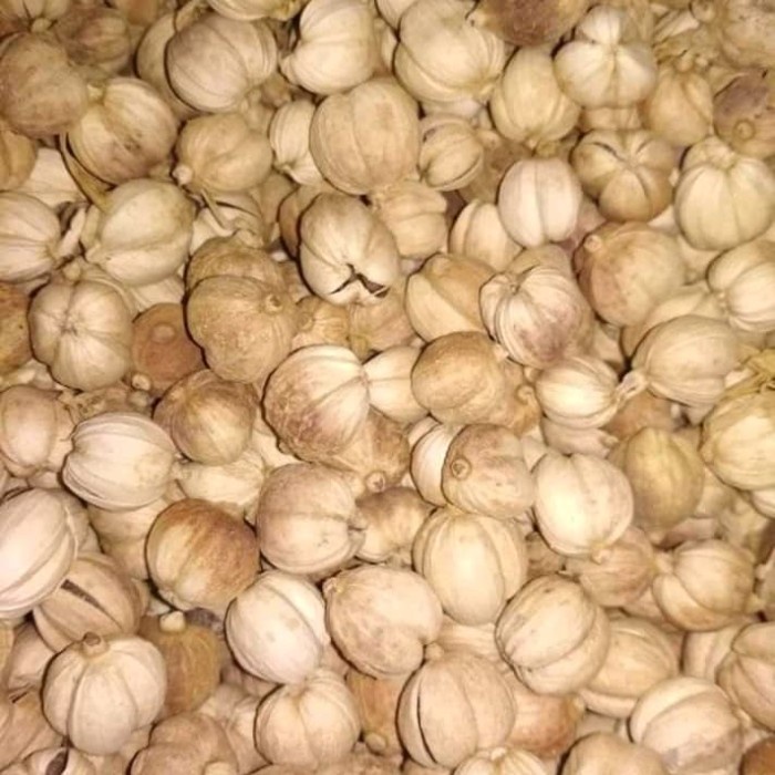 

Premium kapulaga Jawa 1000gr / 1kg Limited