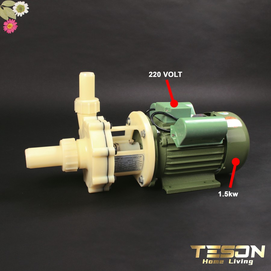 Pompa Kimia Cairan Asam 40FS20 220V Chemical Pump Teson Homeliving