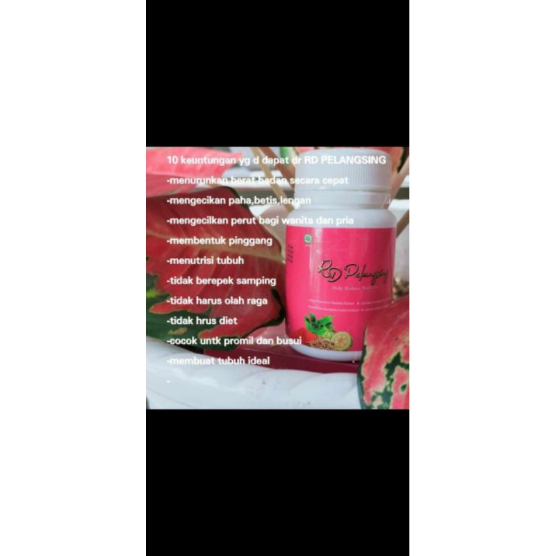 rd pelangsing paket 3jt 28 botol