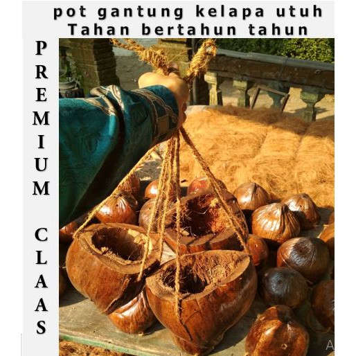 Pot sabut kelapa vas gantung anggrek bunga hias / pot gantung serabut kelapa / pot serabut