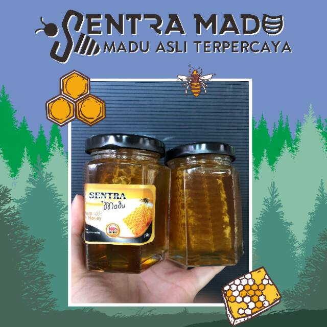 Sarang Madu Asli 100% HoneyComb in Jar Sarang Madu Toples Sarang Madu Murni Sarang Madu Premium 100%