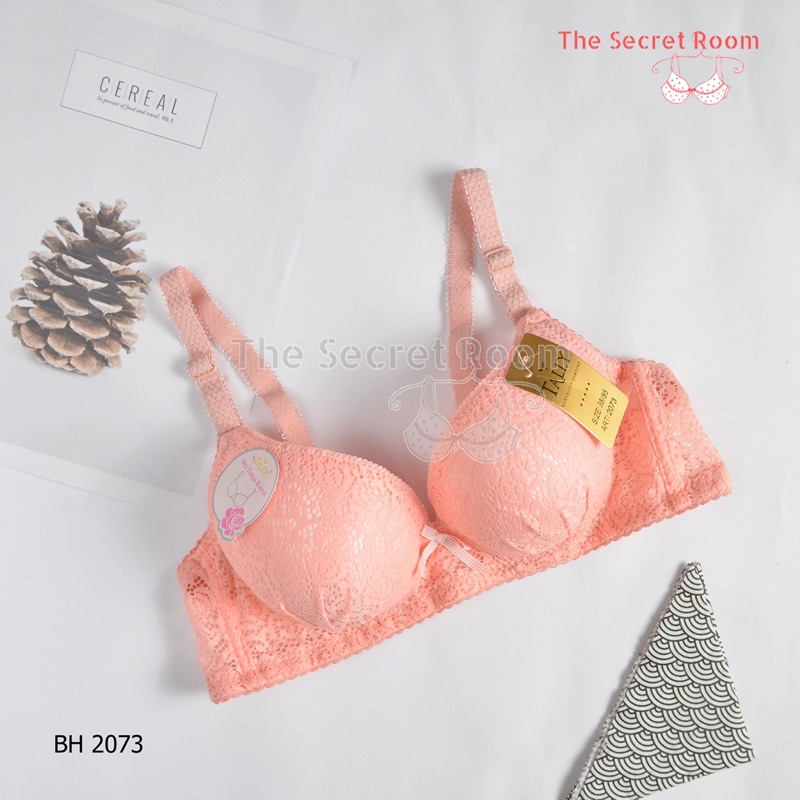 TALLY BRA BH 2073 I CUP B KECIL | TANPA KAWAT I BUSA SEDANG I SIZE 34-38