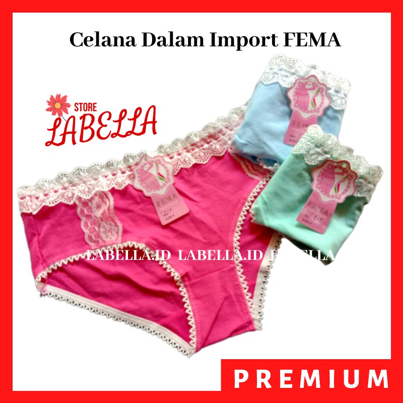 Celana Dalam Wanita / CD Wanita Remaja FEMA Premium Model Renda Cantik IMPOR Kode 0870 - LABELLA