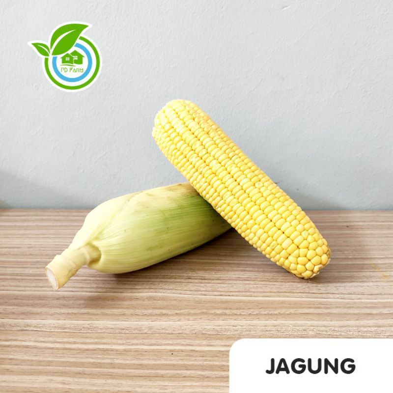 

Jagung (300gram) per batang
