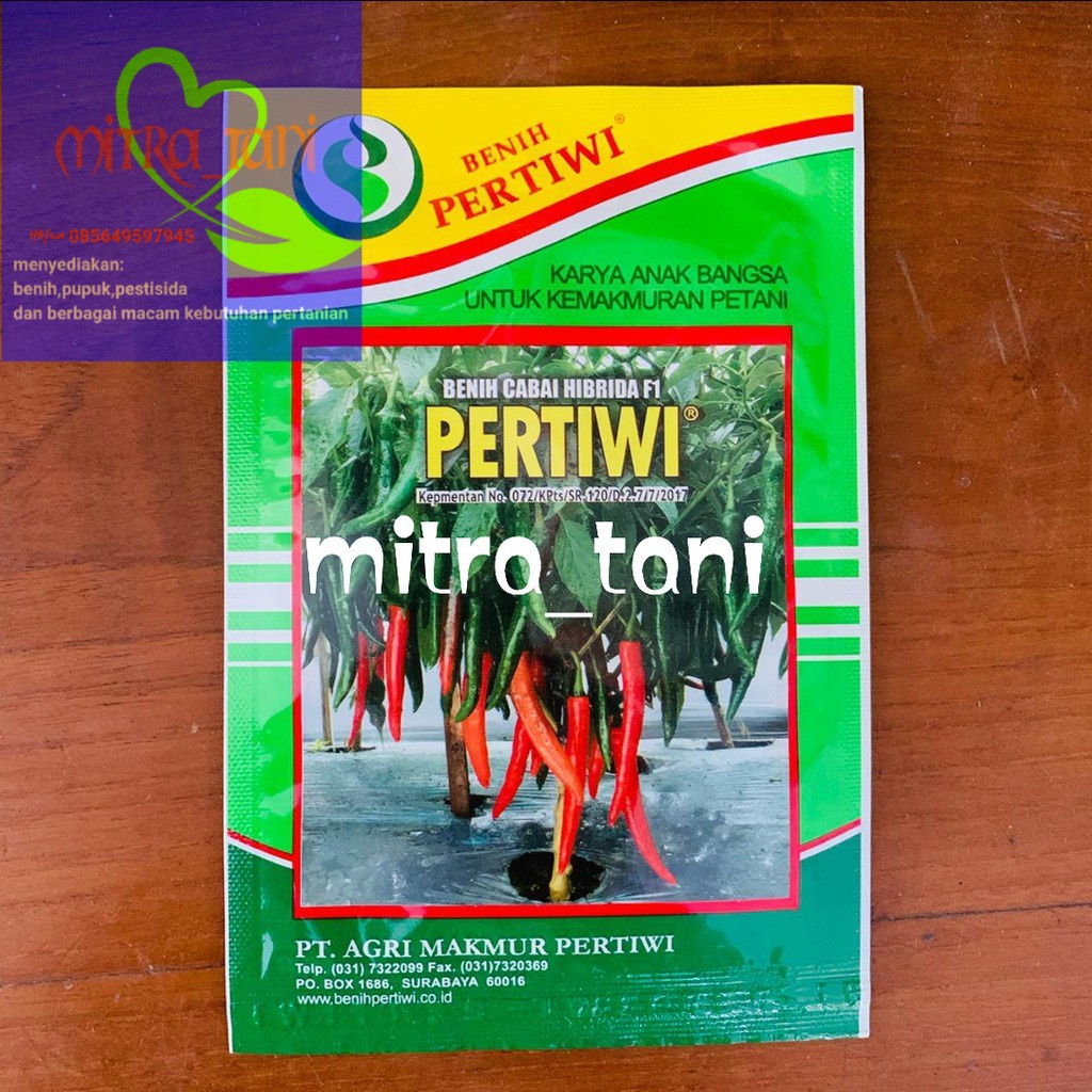 benih cabai besar hibrida PERTIWI 10 gram dari BENIH PERTIWI