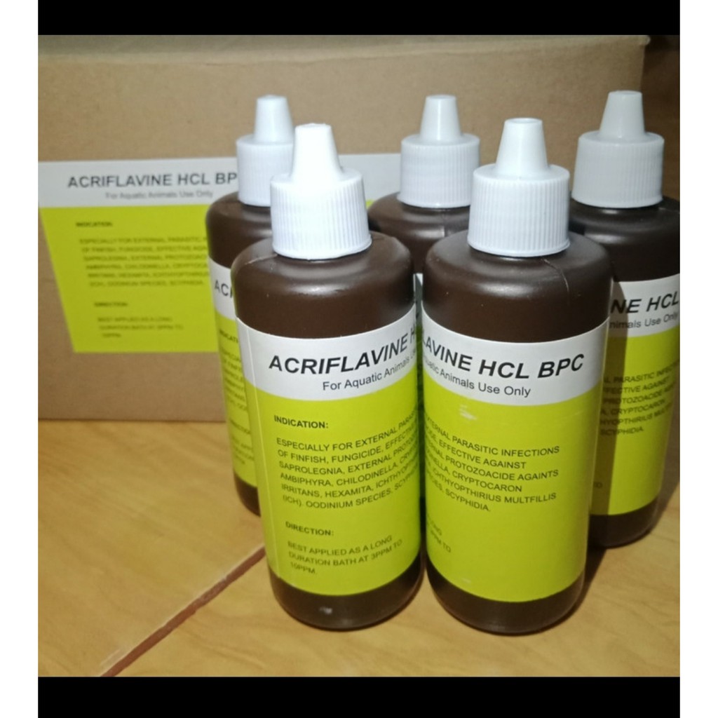 Obat jamur Kura Kura air