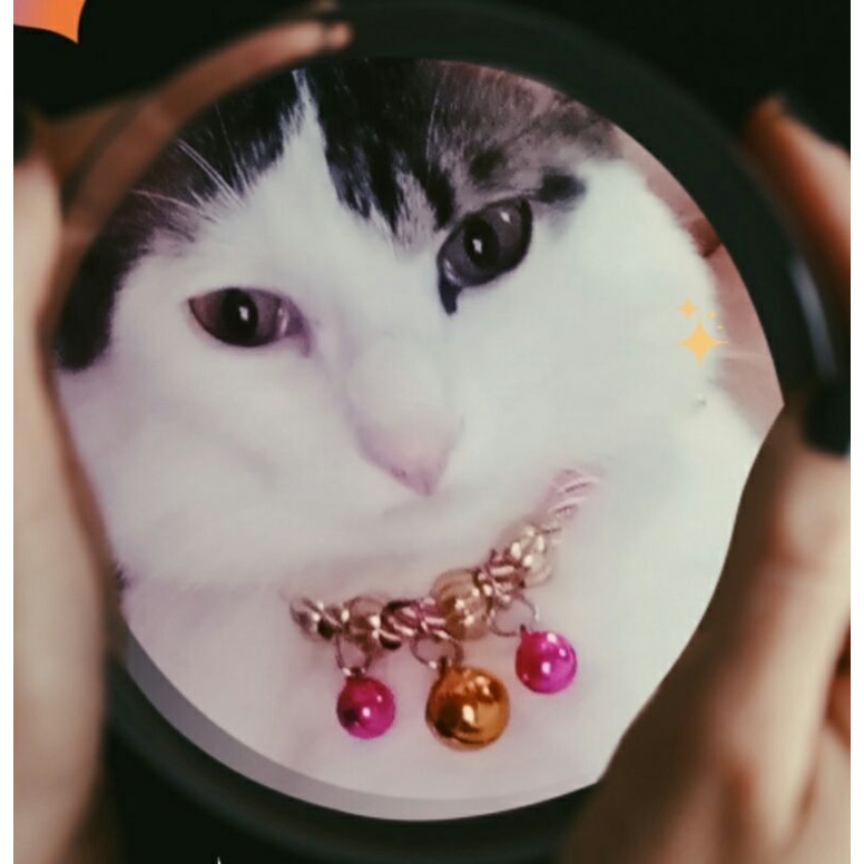 kalung kucing lonceng pink mewah dan keren