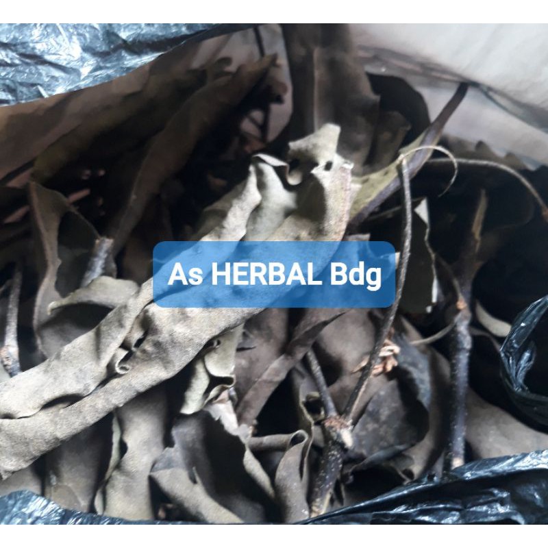 

Benalu jeruk nipis kering per 1 kg asli-az