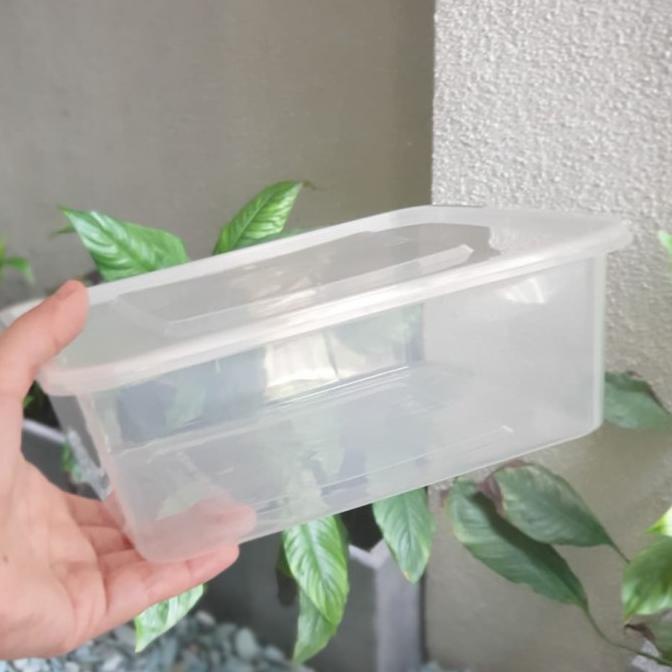 Thinwall Square 2000ml / Thinwall Kotak 2000ml. Isi 25pcs