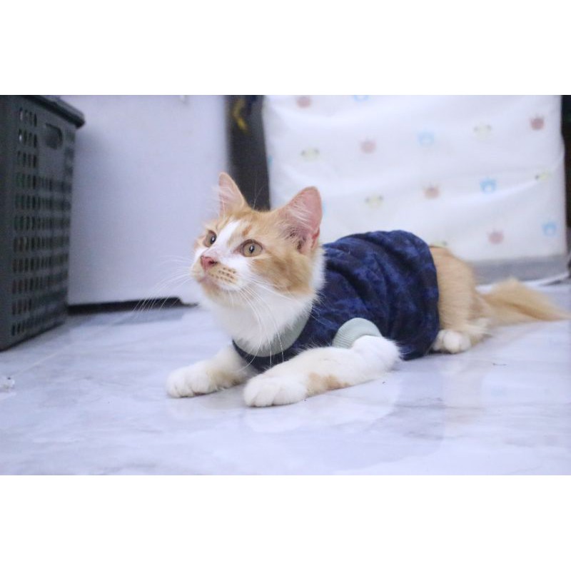 Kaos rumahan warna biru lucu untuk kucing / Baju kucing murah size S M L XL