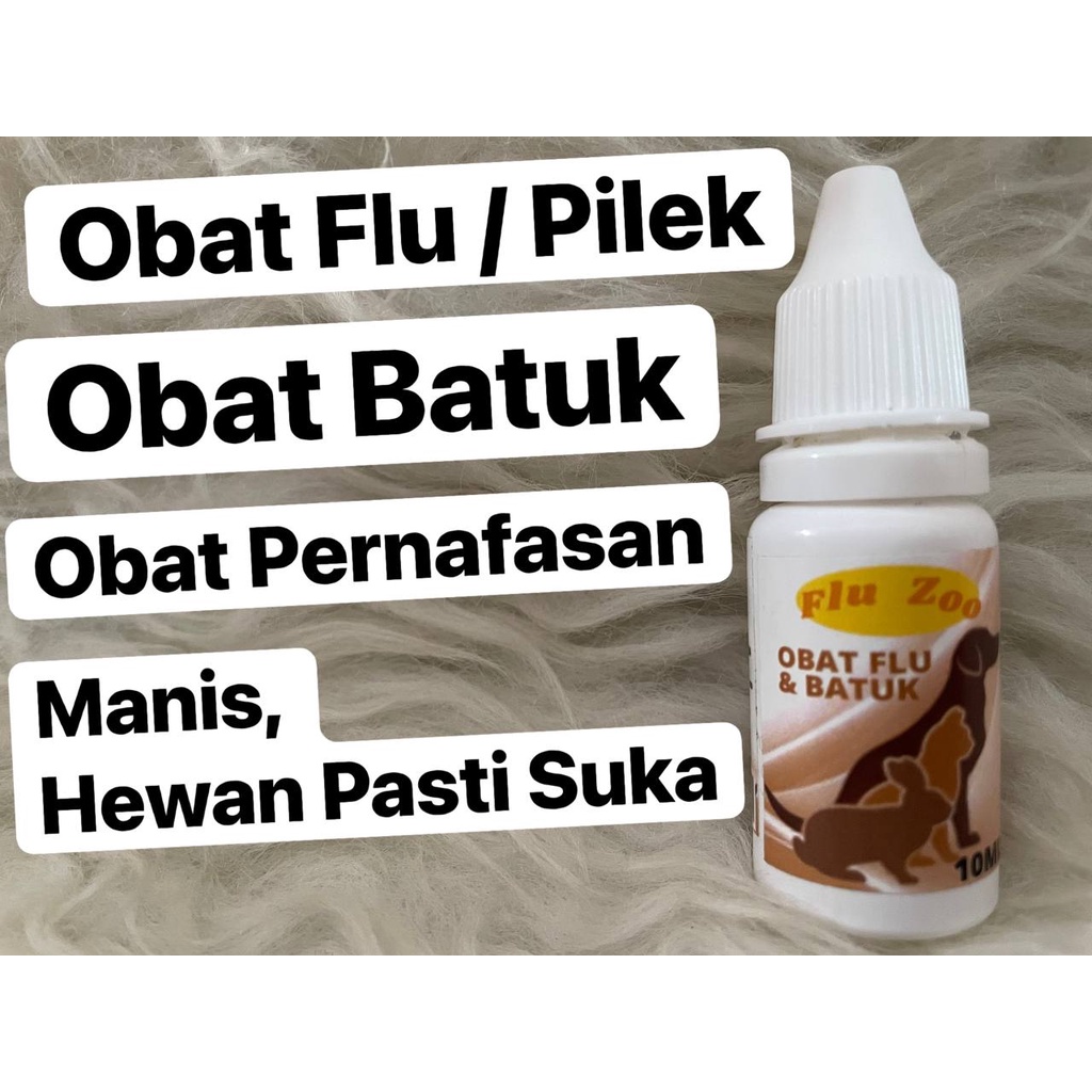 Flu Zoo Obat Flu Hewan Obat Pilek Hewan Flu Kucing Flu Anjing