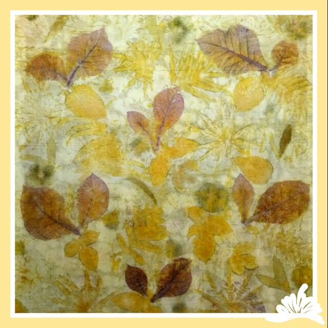 Kain Ecoprint Katun Primisima