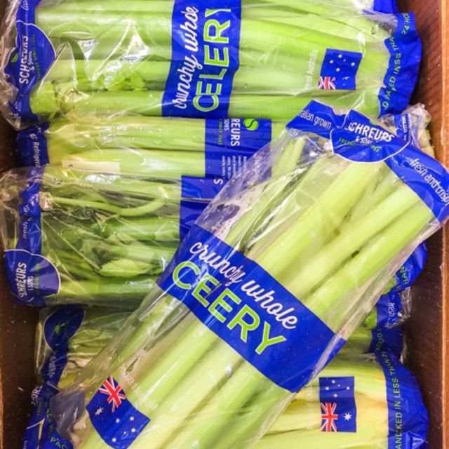 

CELERY STICK AUSSIE