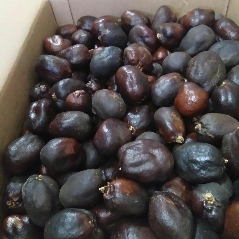 Buah Zuriat 500gr / Zuriyat Madinah Sudah Di Potong Warna Hitam Pekat Original