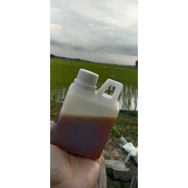 

Madu Murni Hutan Riau