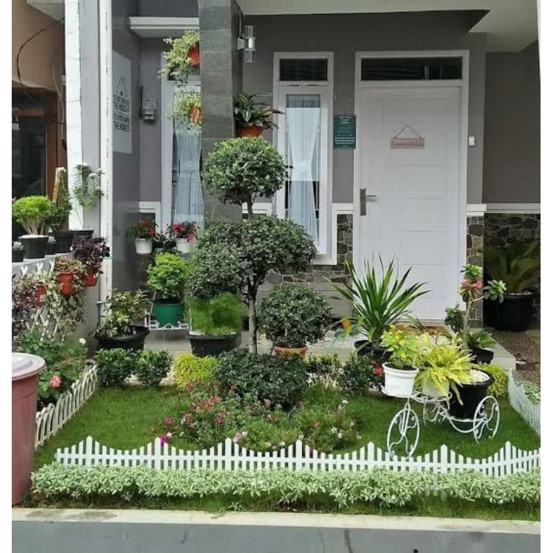 Dekorasi Taman Rumah Shopee Indonesia