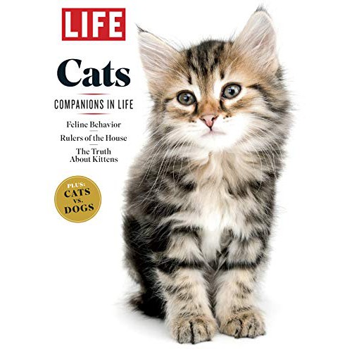 LIFE CAT Pouch 85gr Wet Cat Food / Makanan Kucing Basah 85Gr