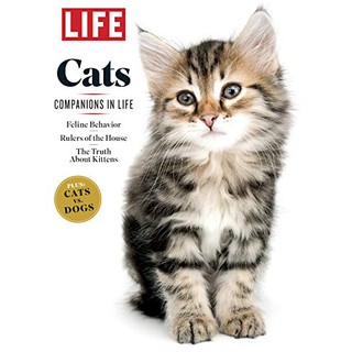 Image of thu nhỏ LIFE CAT Pouch 85gr Wet Cat Food / Makanan Kucing Basah 85Gr #2