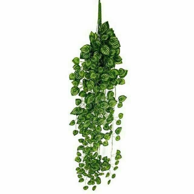 Monstera plastik daun plastik bunga plastik anggrek plastik tanaman plastik bunga shabby rak shabby
