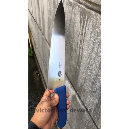 victorinox pisau carving 31 cm with blue fibrox handle kode 5.2002.31