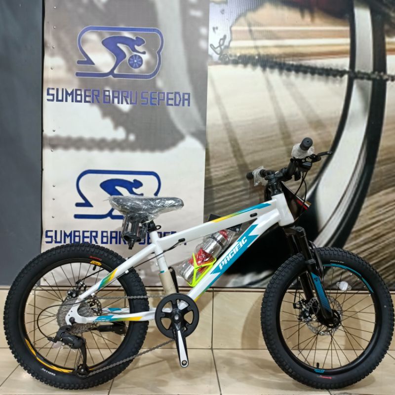 Sepeda Gunung MTB Pacific Invert Cadet 20 Inch Free Breket