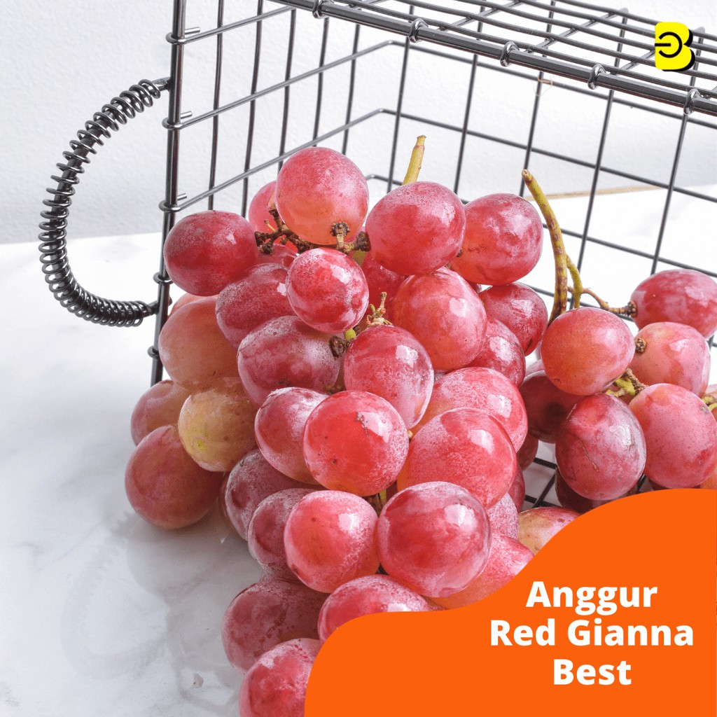 

BUAH ANGGUR RED GIANNA | BUAH ANGGUR RED GIANNA| BUAH ANGGUR SEGAR | BUAH ANGGUR IMPORT TERBAIK