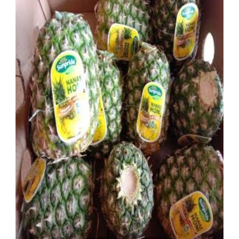 

Nanas Honi Premium Citra Segar Sehat per Box ( 10 pcs)