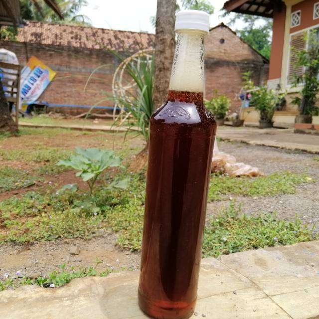 

MADU HITAM MULTIFLOWER MURNI kemasah 460ml