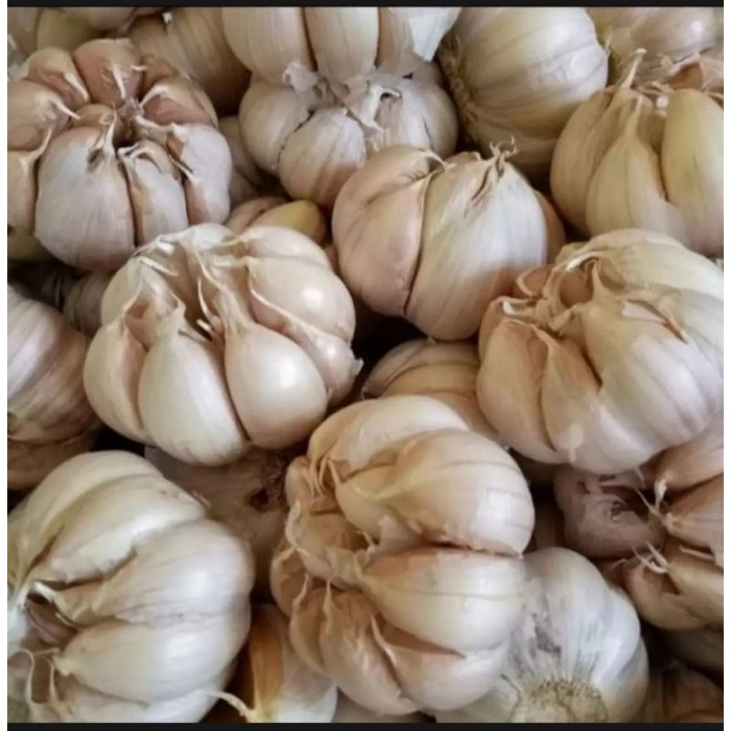 

Bawang putih 1kg
