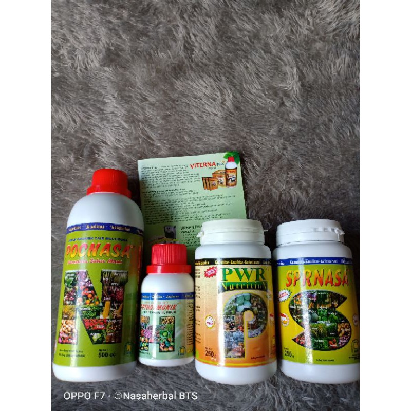 pupuk 4 sekawan nasa Pupuk organik cabe pupuk cabe murah pupuk cabe terbaik