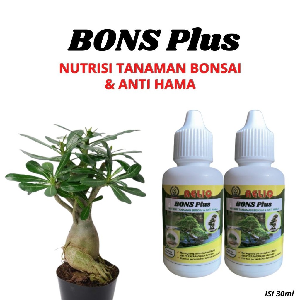 Nutrisi Tanaman Bonsai, Hormon Bonsai Adenium, Pupuk Nutrisi Bonsai Kelapa