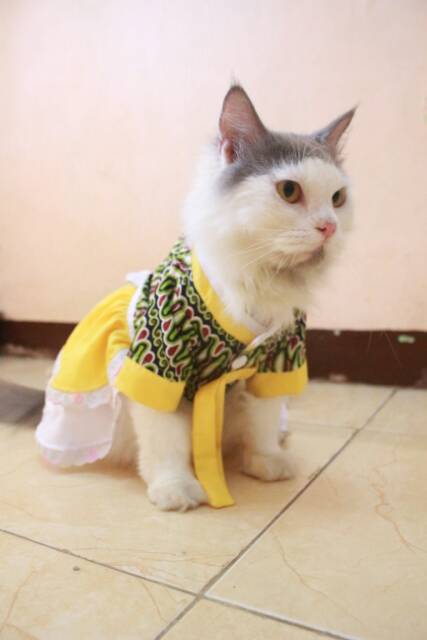 Dress hanbok batik kuning lucu untuk kucing dan anjing lucu size S-XL