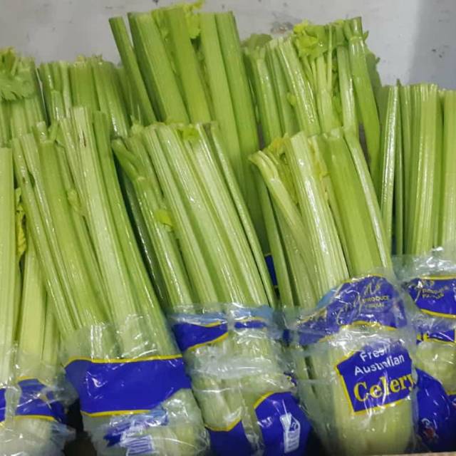 

Celery Australi