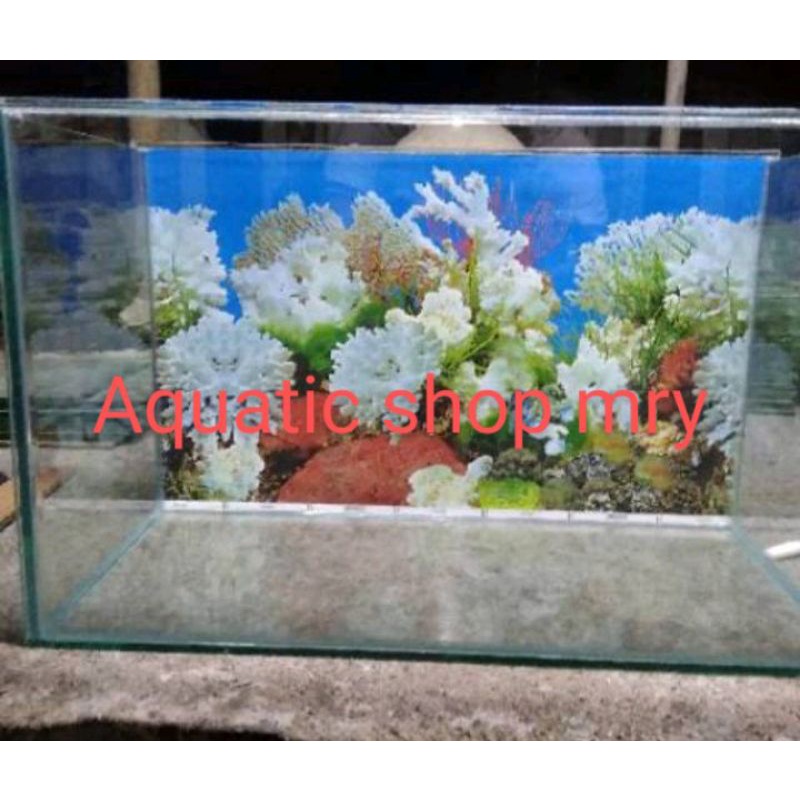 Aquarium 50x25x30 background