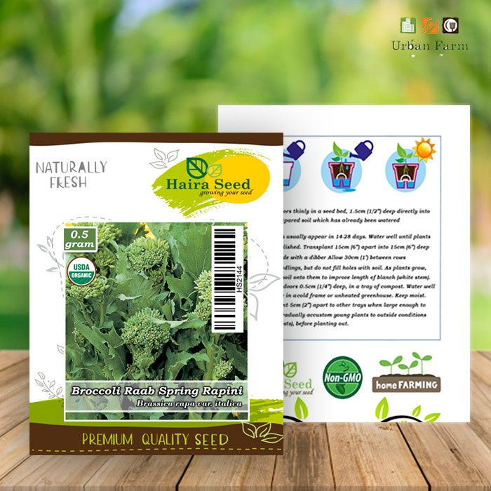 Benih-Bibit Brokoli Hijau Raab Spring Rapini (Haira Seed)